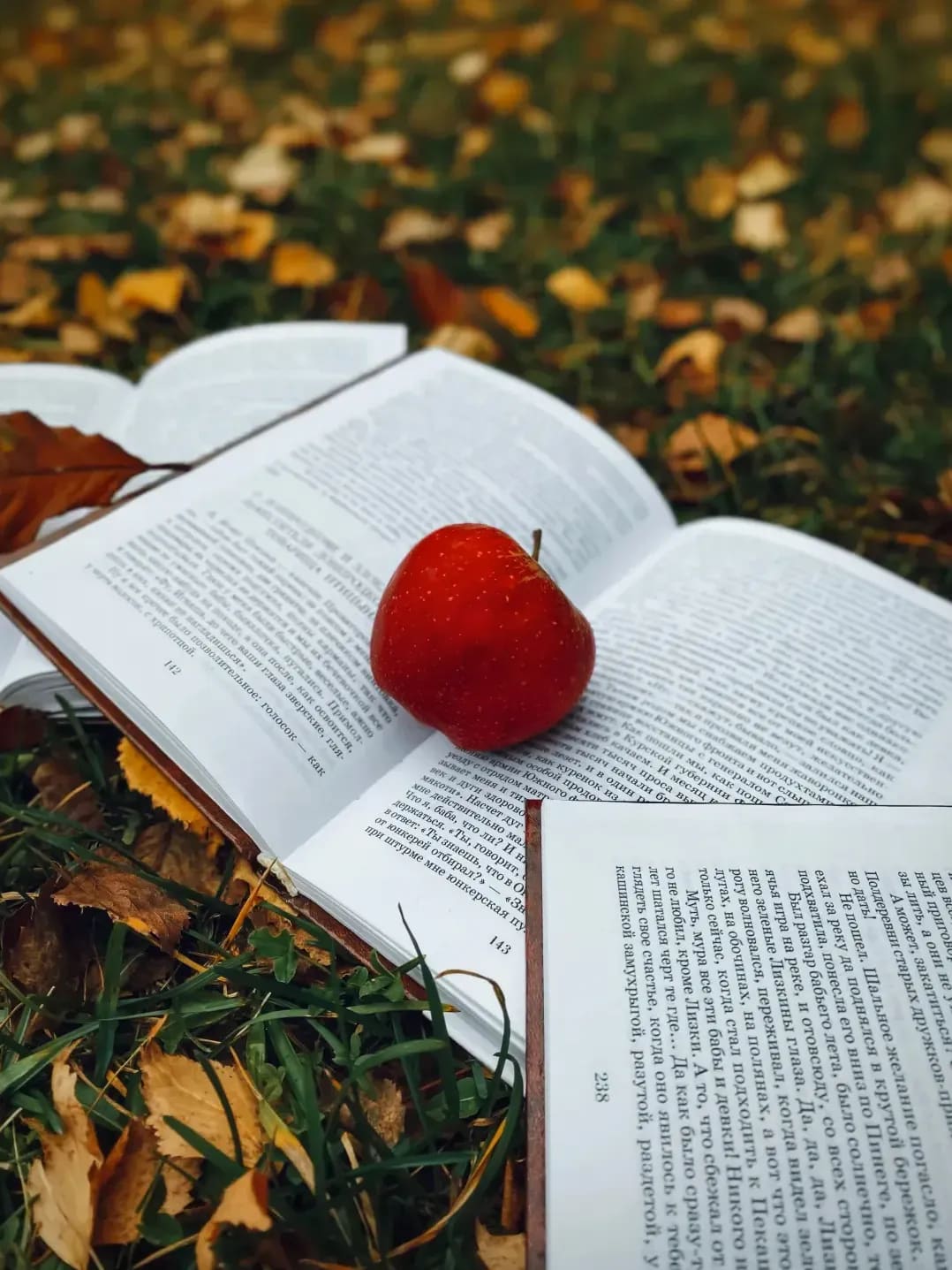 Study‑Academy 6